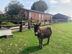 Rew Farm Country and Equestrian Accommodation - Sunset Lodge